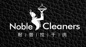 耐普拉干洗——標志設計